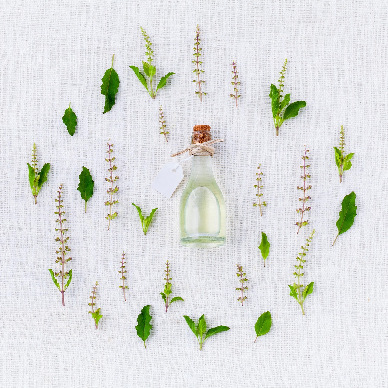 Best Melissa Oil Bottle Sizes: Why Smaller Is Usually Smarter