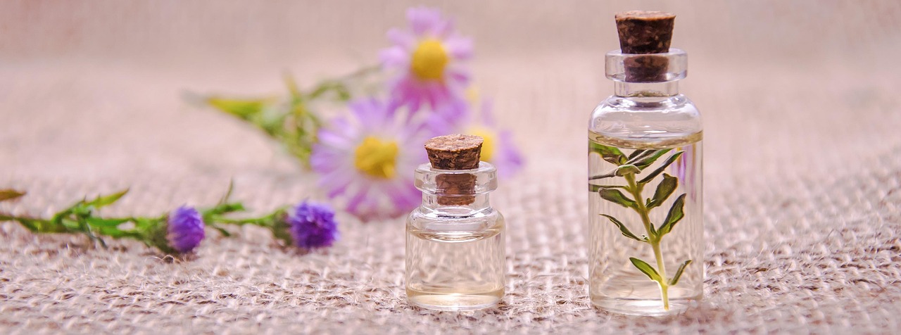 What Does Melissa Essential Oil Smell Like? A Full Scent Profile